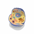Neurostemcell